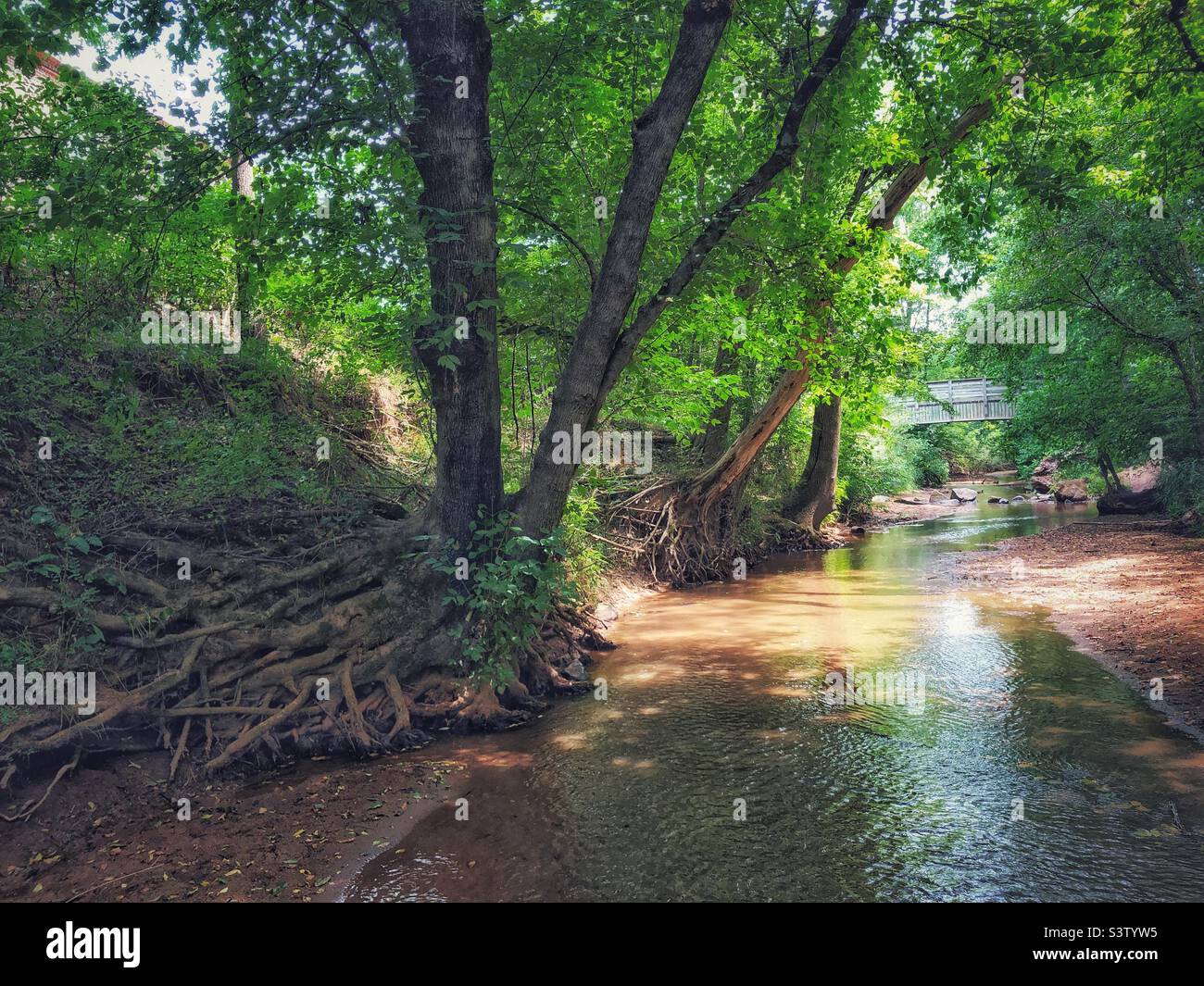 Creek con ponte - Immagine stock catturata con smartphone