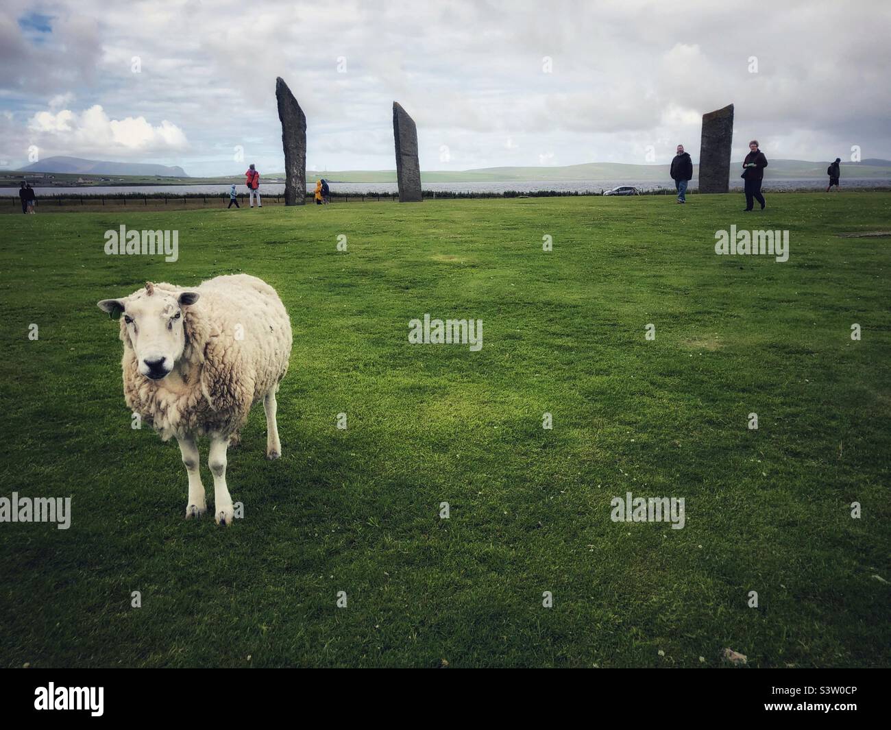 Pietre in piedi di Stenness, Orkney, Scozia Foto Stock