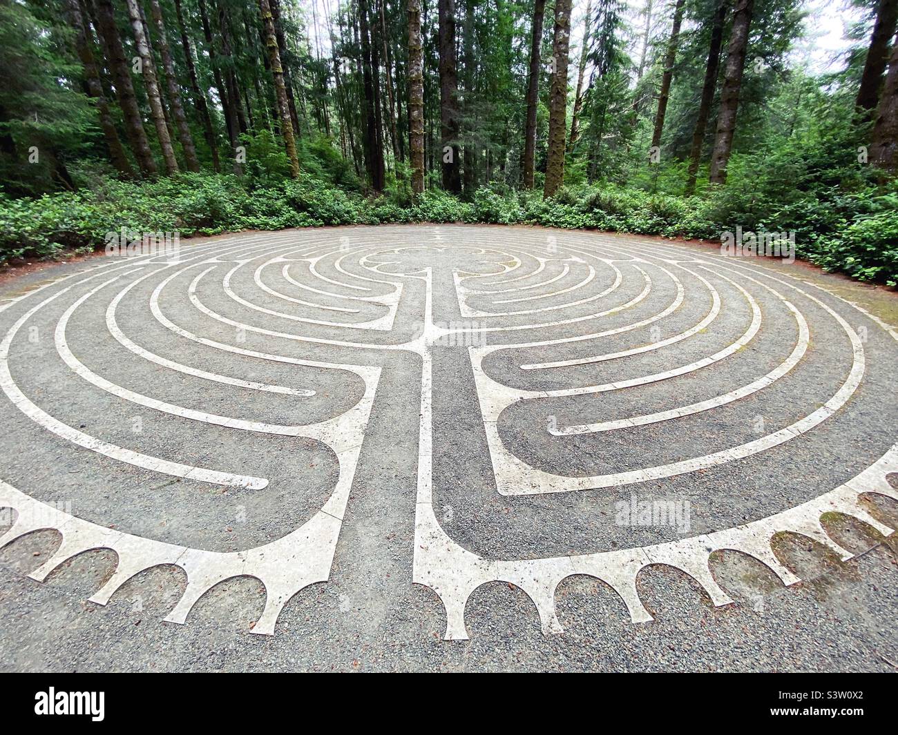 Un labirinto in una foresta. Foto Stock