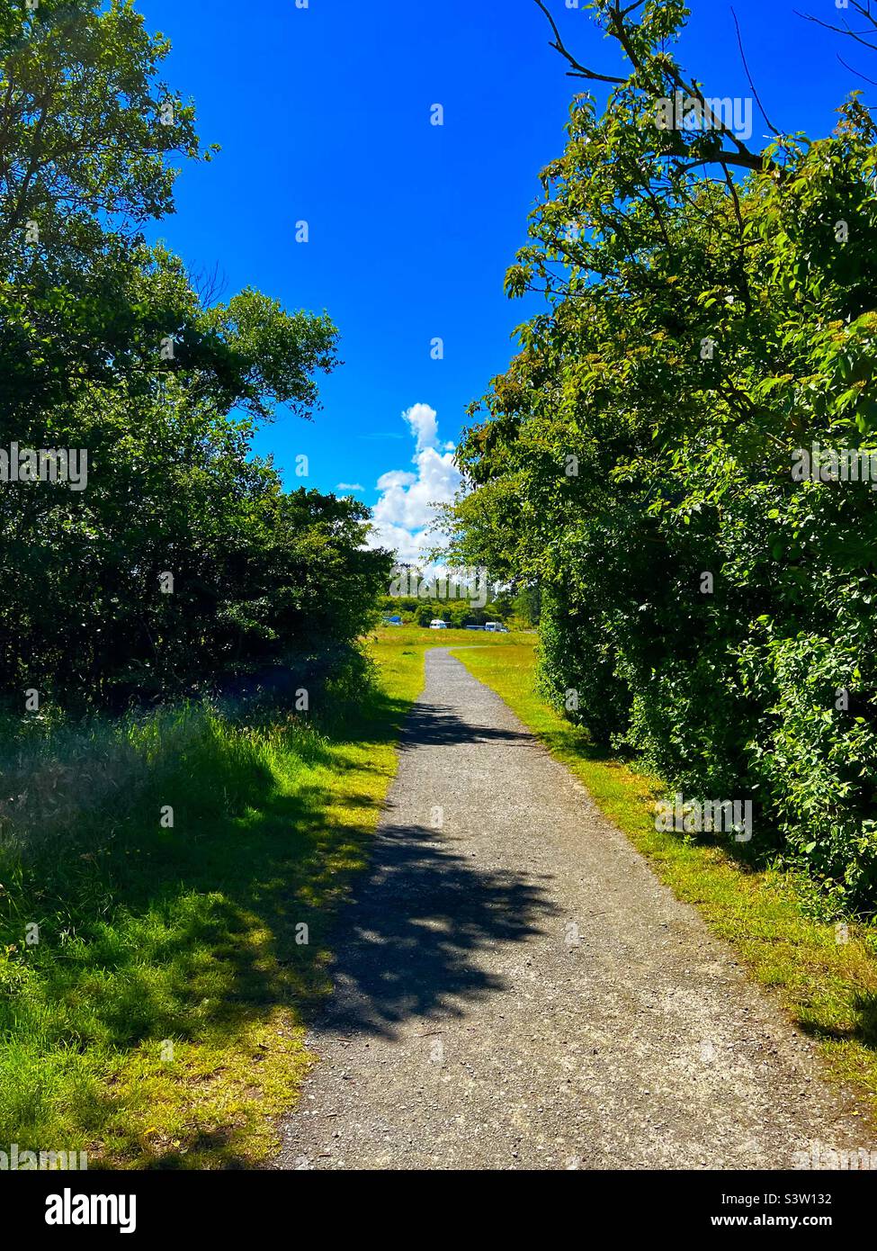 Sentiero tra alberi in una giornata di sole sotto il cielo blu, Morpeth, Regno Unito Foto Stock