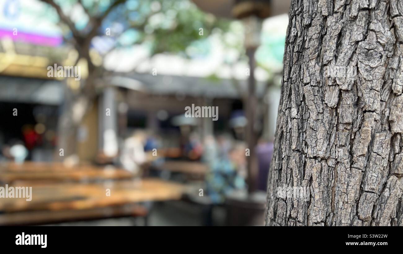 Messa a fuoco netta sul tronco di un albero con messa a fuoco morbida sui diners ad un bar o ristorante esterno dietro. Sfondo adatto per testo o grafica Foto Stock