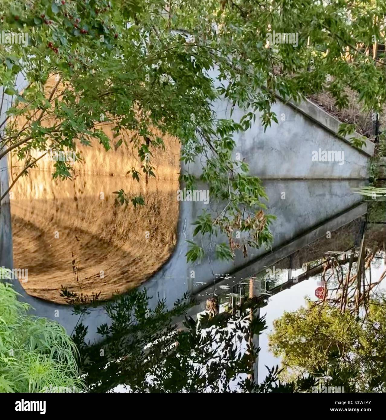 Riflessioni di prima mattina al ponte sul torrente di Patterson. - Immagine stock catturata con smartphone
