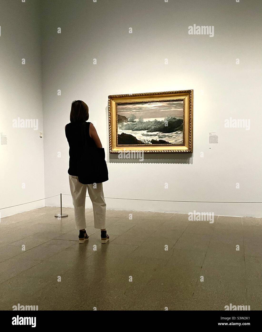 Donna che guarda opere d'arte in un museo - Immagine stock catturata con smartphone