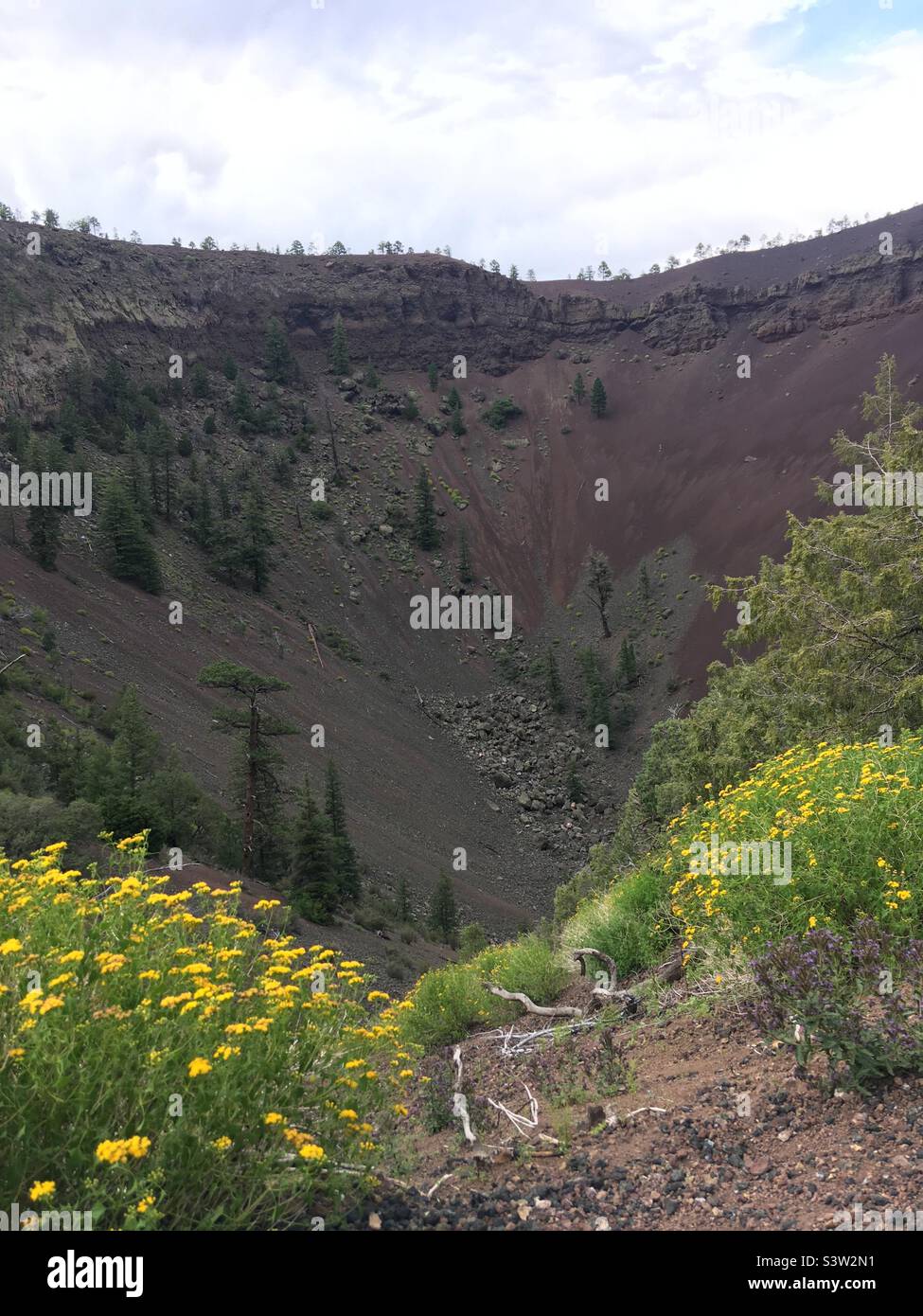 Cinder Cone al Monumento Nazionale di El Malpais Grants New Mexico Foto Stock