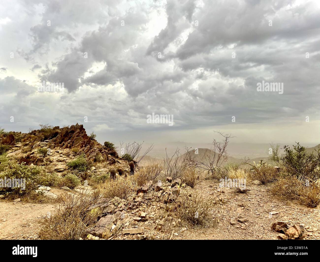 Escursionista - tempo di girare intorno! Nuvole di Monsoon mattina grigia che si ripresentano sul marrone beige Andrews Kinsey - Sunrise Trail, Fountain Hills - Scottsdale AZ. Adero Canyon - Lost Dog trailheads. Foto Stock