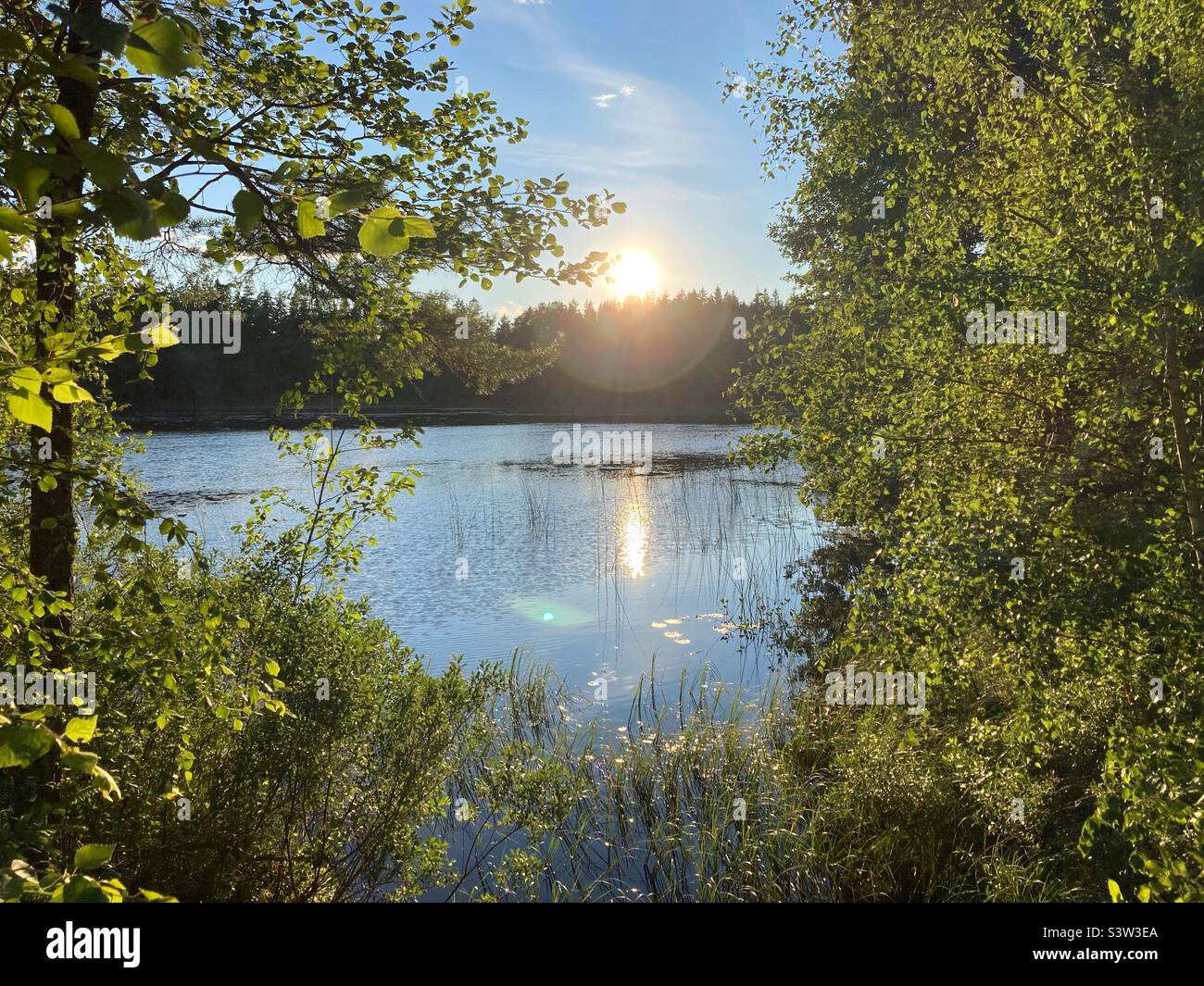 Un lago a Smaland al tramonto in estate, Svezia Foto Stock