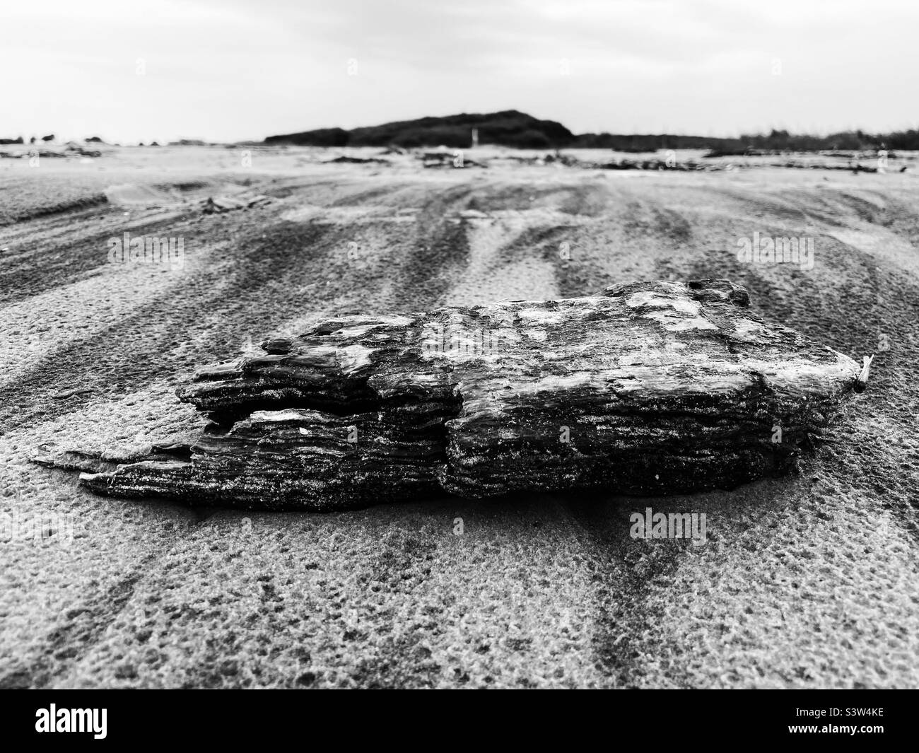 Un pezzo di legno stagionato che si trova su una spiaggia di sabbia sulla costa occidentale della Svezia Foto Stock