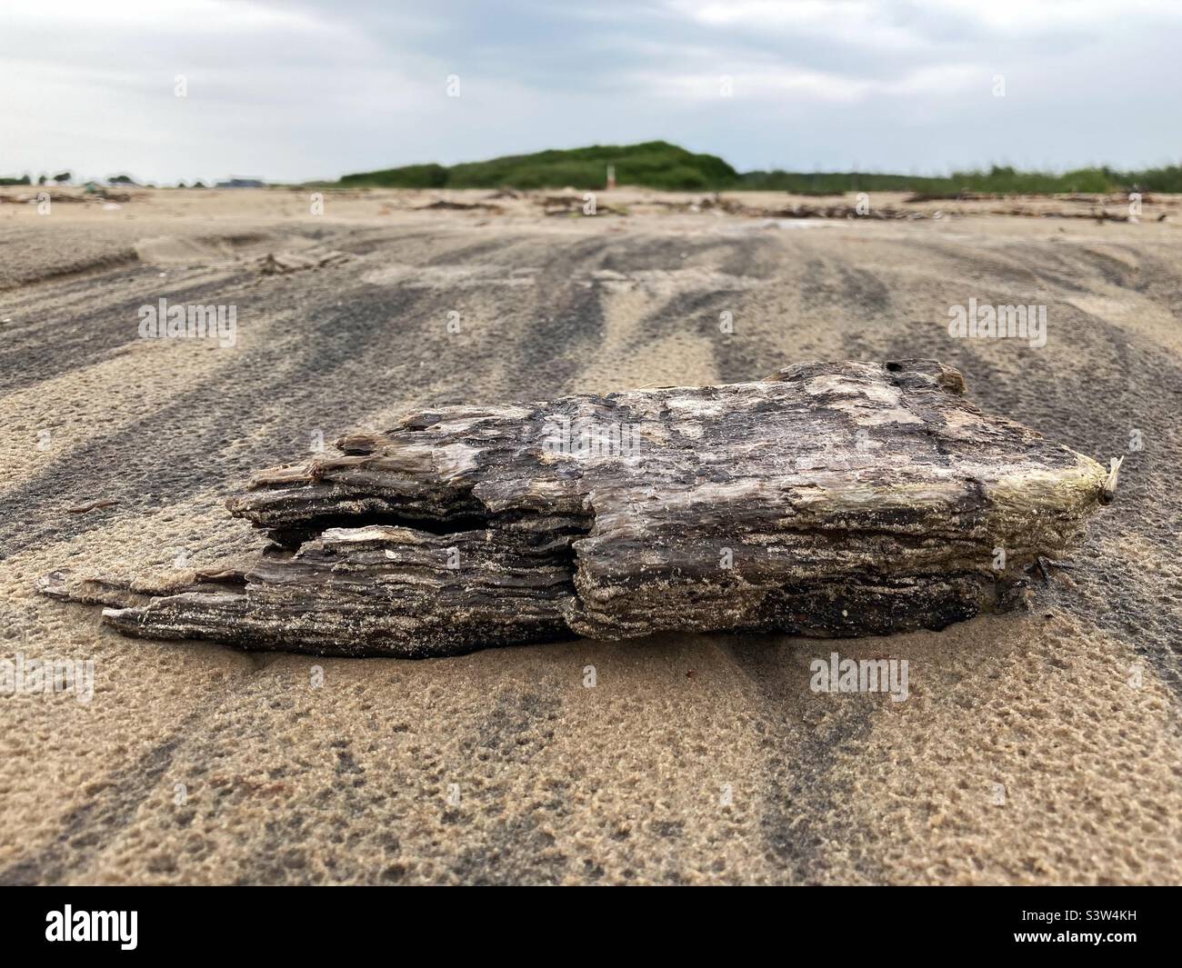 Un pezzo di legno stagionato che si trova su una spiaggia di sabbia sulla costa occidentale della Svezia Foto Stock