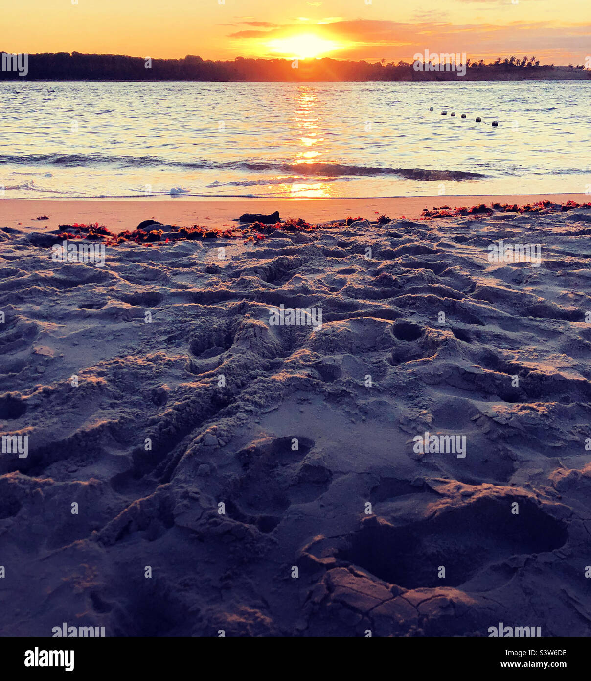 Il caldo bagliore del sole che tramonta. Foto Stock