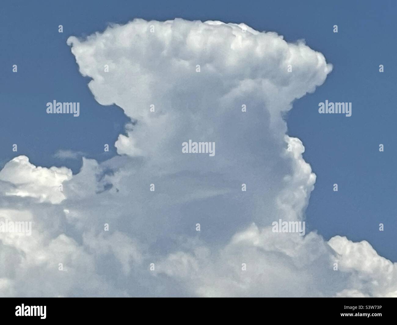 Una nube di cumulonimbus edificio in una calda giornata estiva sulle montagne Wasatch in Utah, USA. - Immagine stock catturata con smartphone