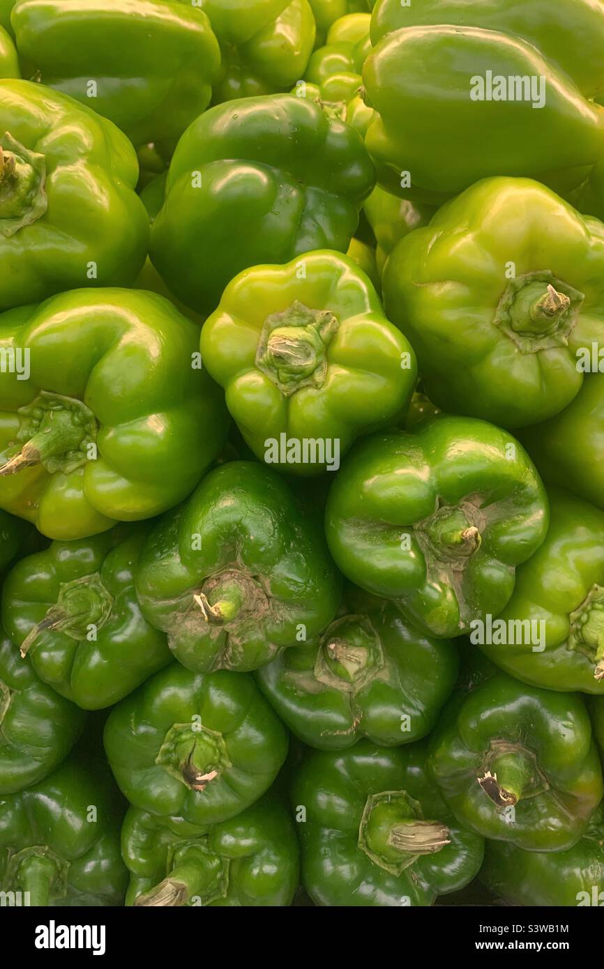 Bei peperoni verdi freschi dal giardino. - Immagine stock catturata con smartphone