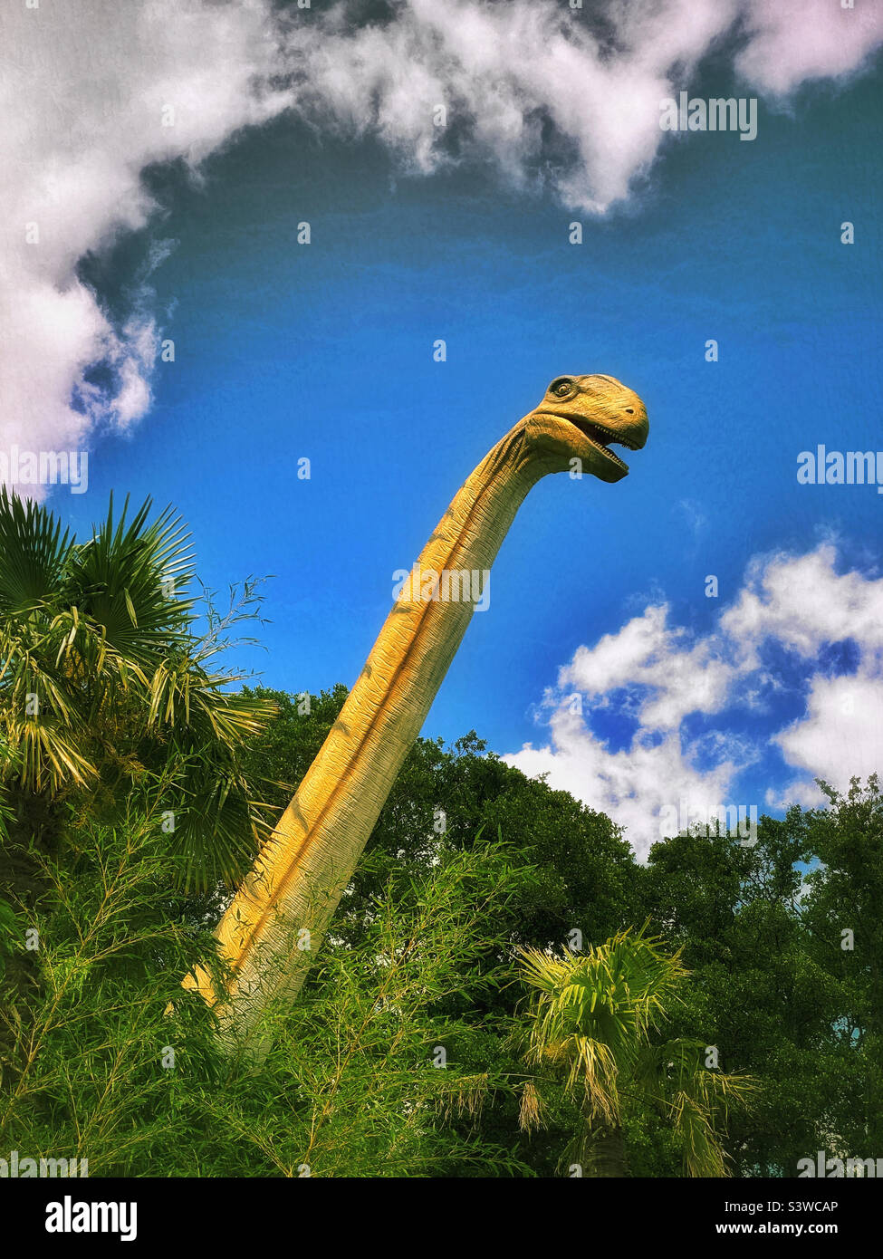 Il lungo collo e la piccola testa torri sopra come un dinosauro sauropod guarda fuori tra cespugli alti e piccoli alberi. Ci sono probabilmente 80 vertebre in quel collo! Foto ©️ COLIN HOSKINS. Foto Stock