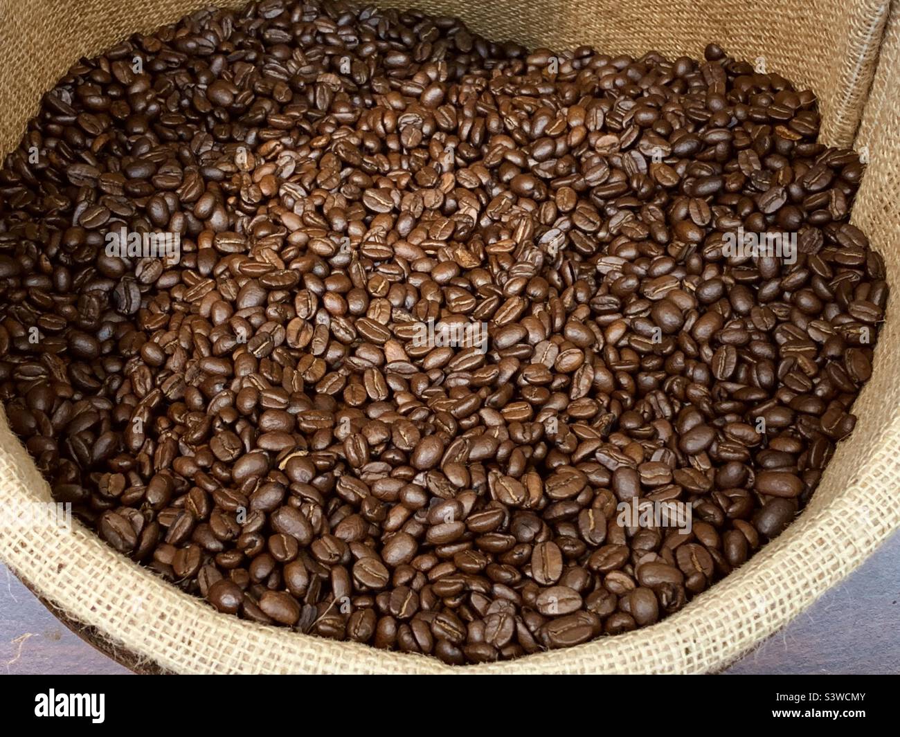 Chicchi di caffè Foto Stock