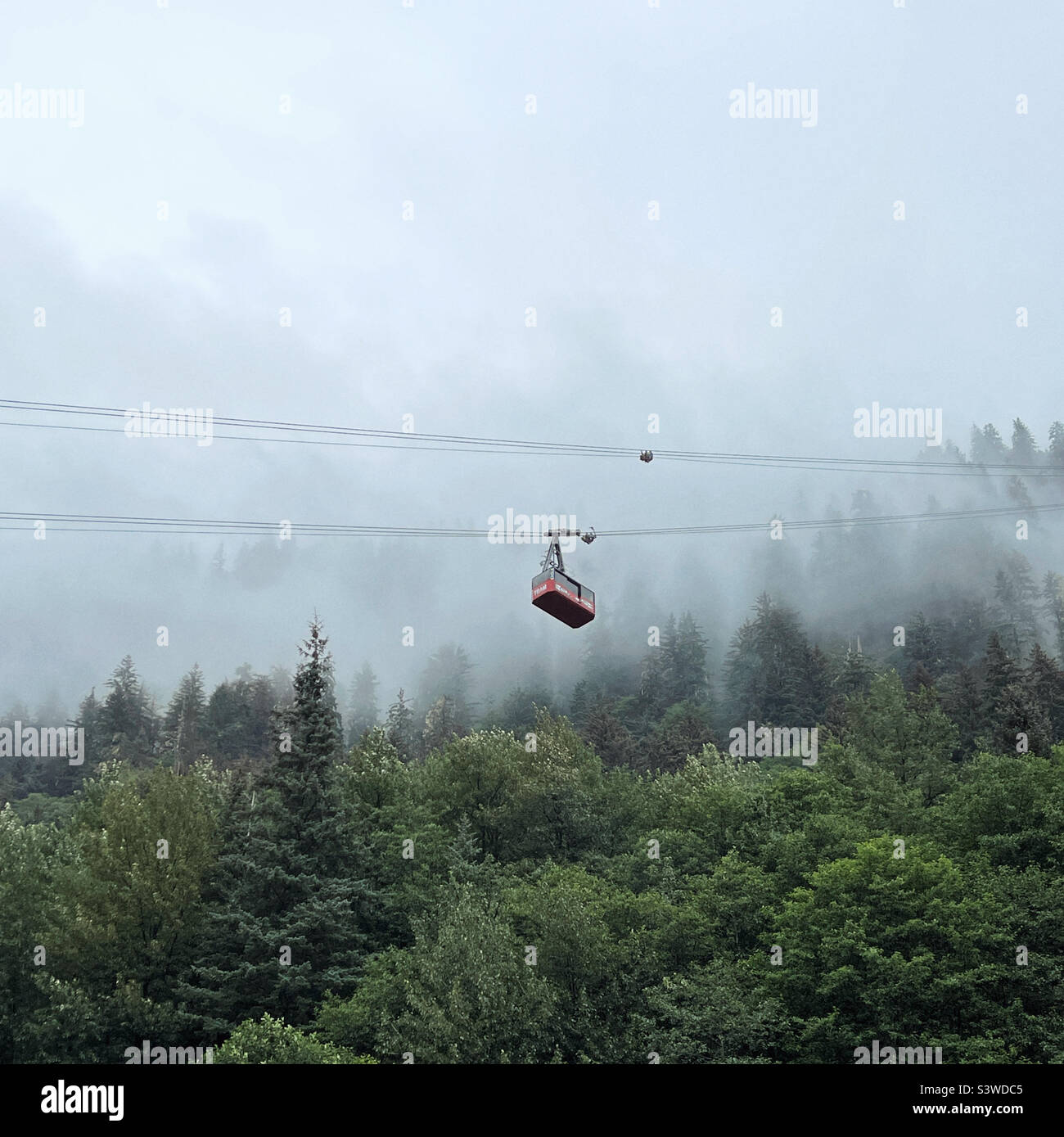 Goldbelt tram salire mt Roberts nella nebbia in Juneau Alaska Foto Stock