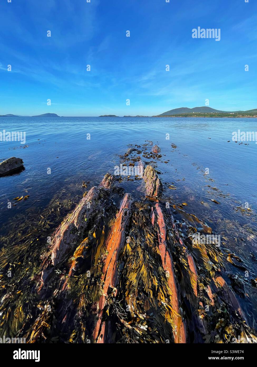 Rocce sulla riva di Ballinskelligs Bay, County Kerry, Irlanda, agosto, con Horse Island sullo sfondo. Foto Stock