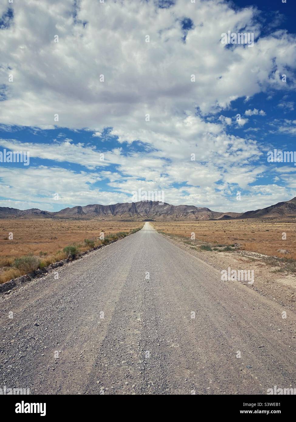 Una strada di ghiaia che conduce verso le montagne nel deserto dello Utah Foto Stock