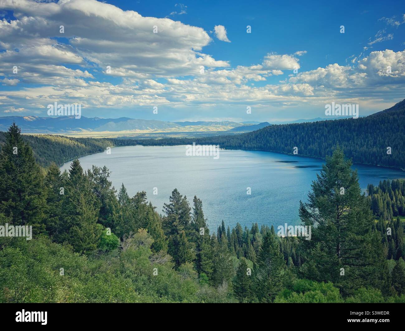 Una veduta del Lago Phelps nel Parco Nazionale del Grand Teton Foto Stock