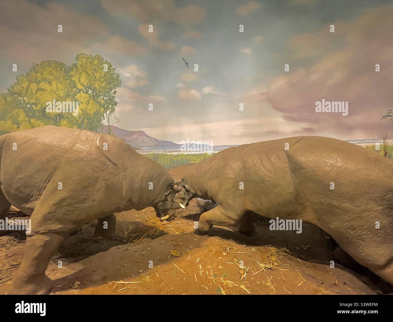 Strane creature preistoriche in un diorama al Dinosaur Museum, o Natural History Museum, a Vernal, Utah, USA. Potrebbero questi essere i predecessori ai nostri hippos o rinoceronti attuali di giorno? Foto Stock