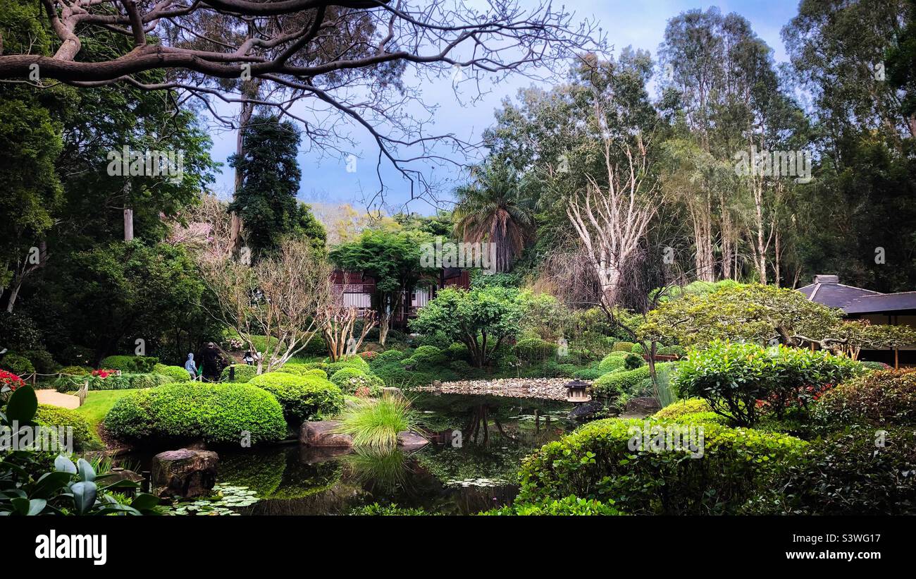 Giardino giapponese Foto Stock