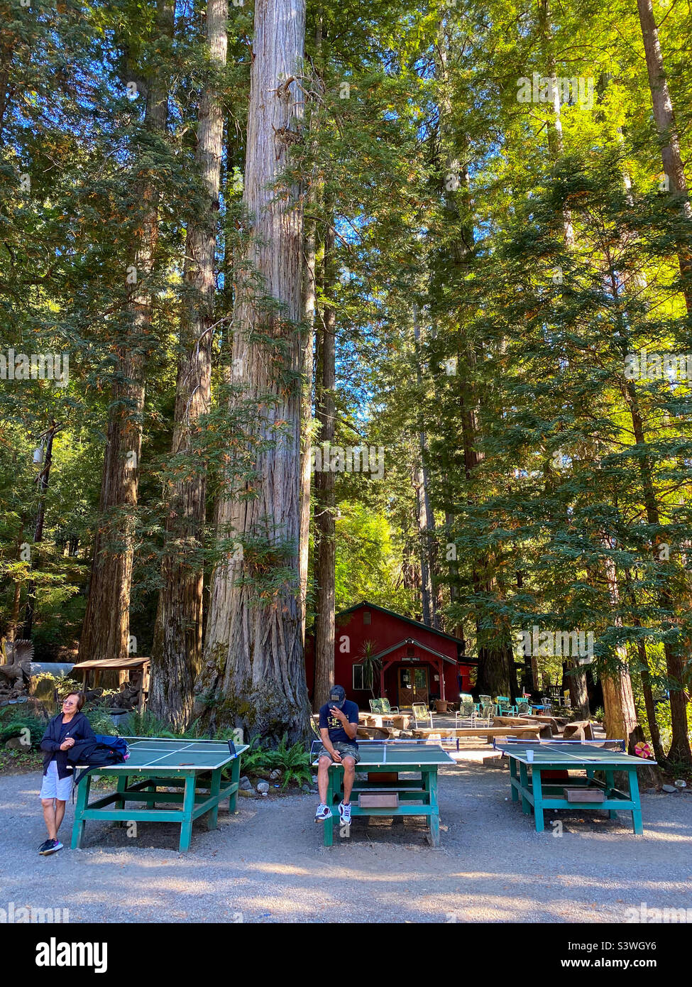 Tavoli da ping pong sotto alti alberi di sequoia in un campeggio in California. Foto Stock