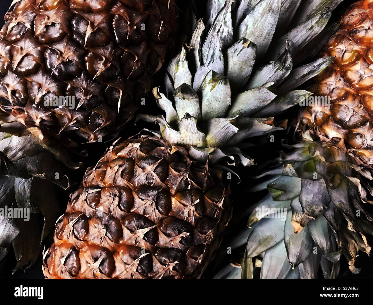Tre ananas di colore scuro - Immagine stock catturata con smartphone