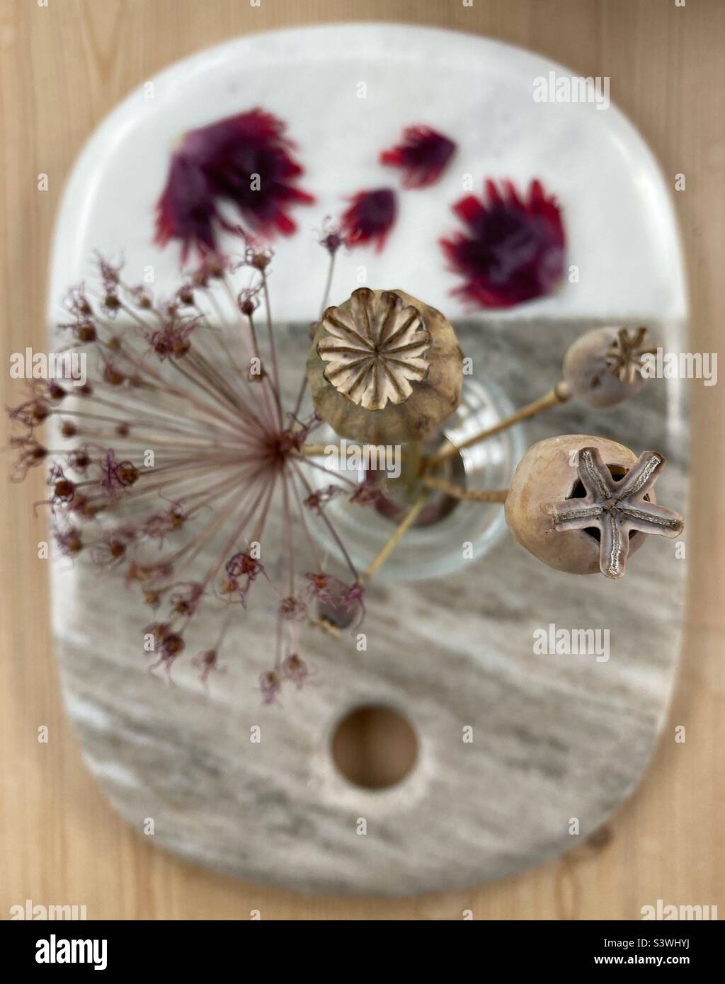 Teste di seme asciugate in un vaso che guarda dall'alto Foto Stock