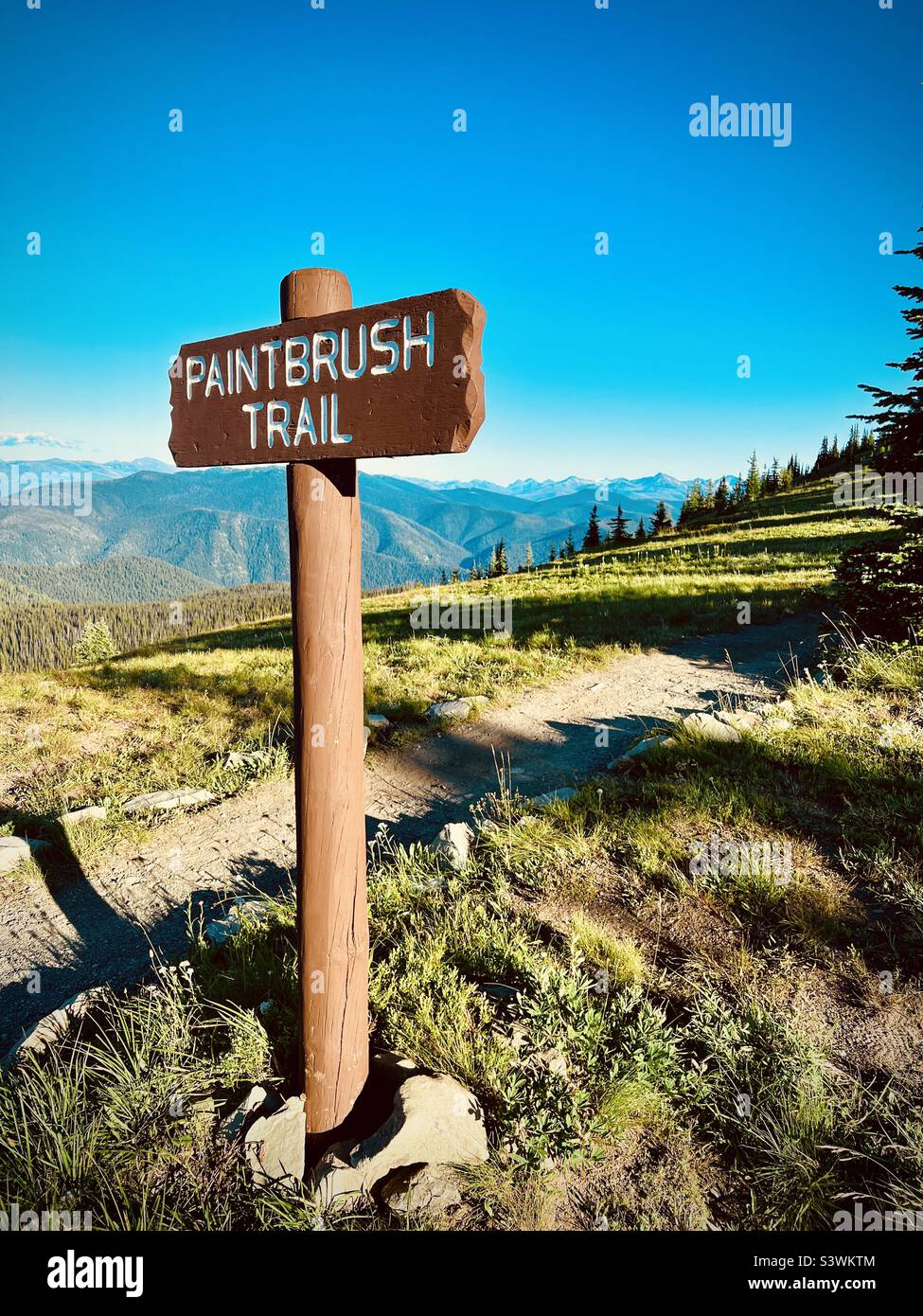 Sentiero con pennelli, Manning National Park, British Columbia, Canada Foto Stock