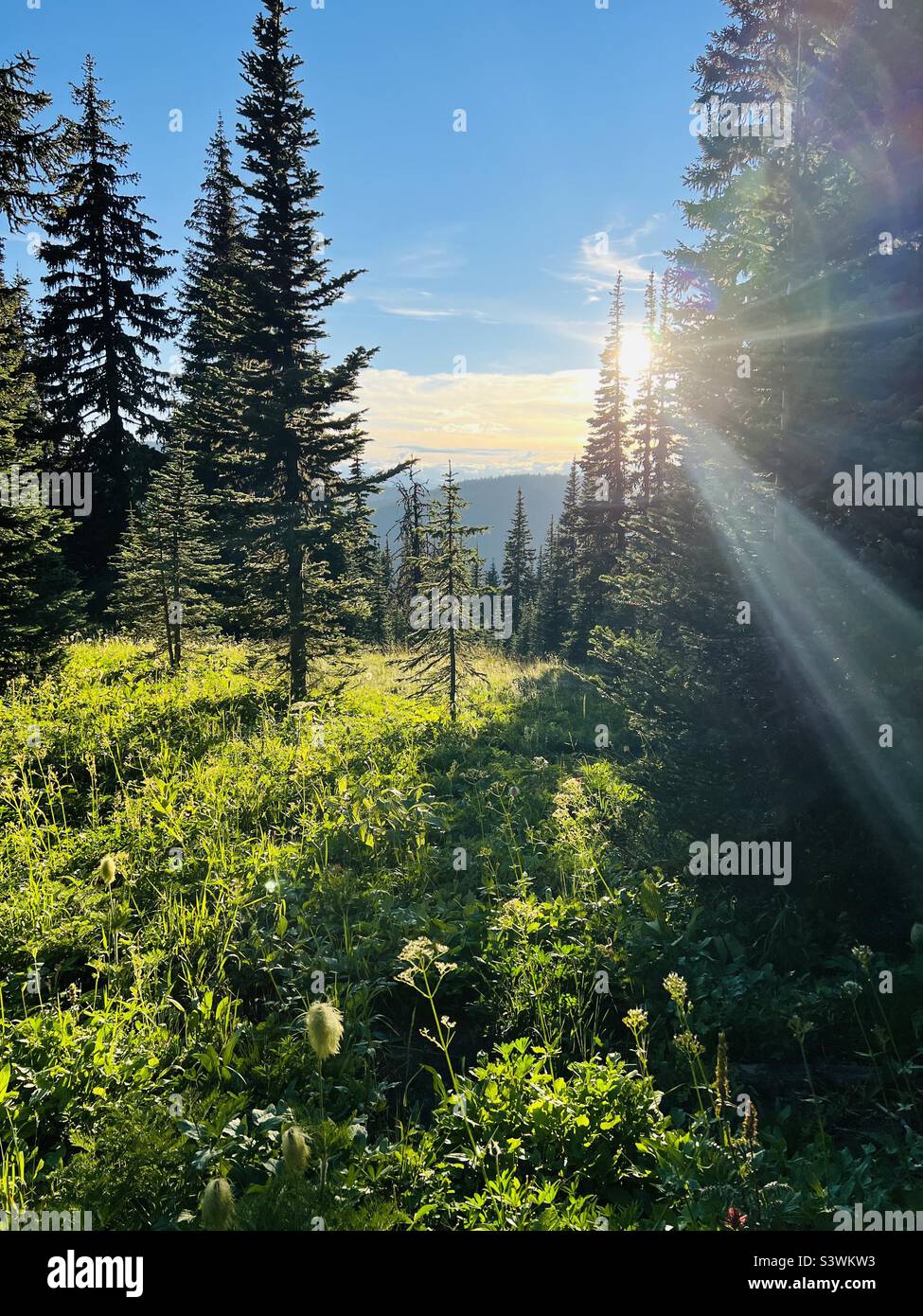 Escursioni. Manning National Park, British Columbia, Canada Foto Stock