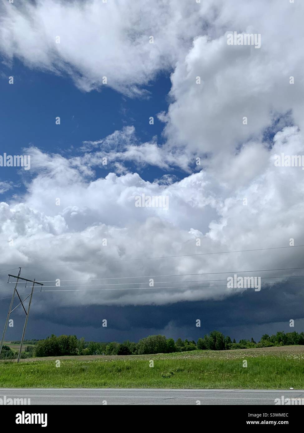 Una tempesta estiva che passa attraverso il campo. Cielo blu sopra le nuvole, soffice bianco sulla parte superiore e pesante e scuro sotto, la pioggia ruscella giù in lontananza. Foto Stock