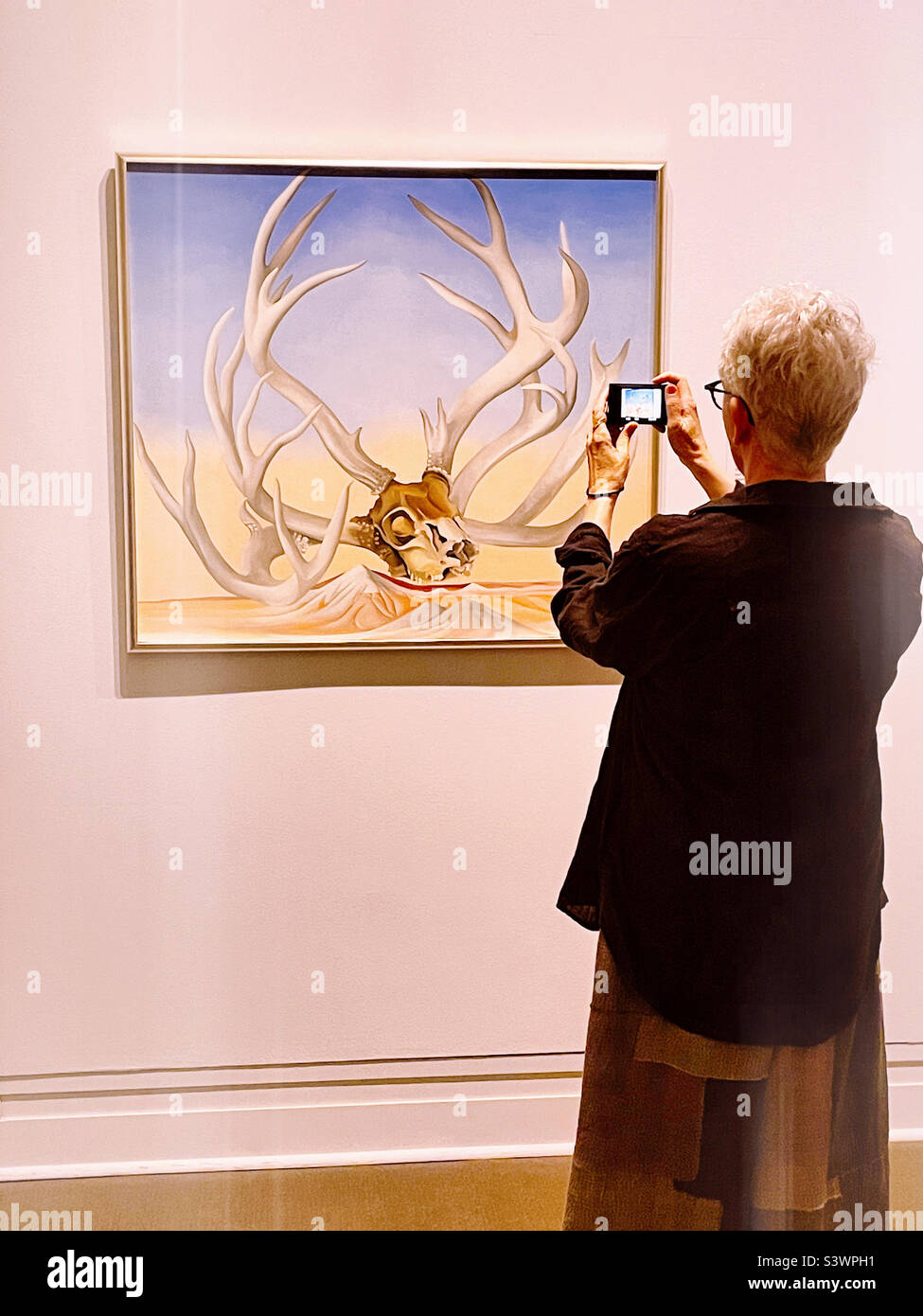 Bella donna anziana scatta una foto del dipinto di Georgia o’Keeffe del 1937, da lontano, vicino al Metropolitan Museum of Art, 2022, NYC, USA - Immagine stock catturata con smartphone