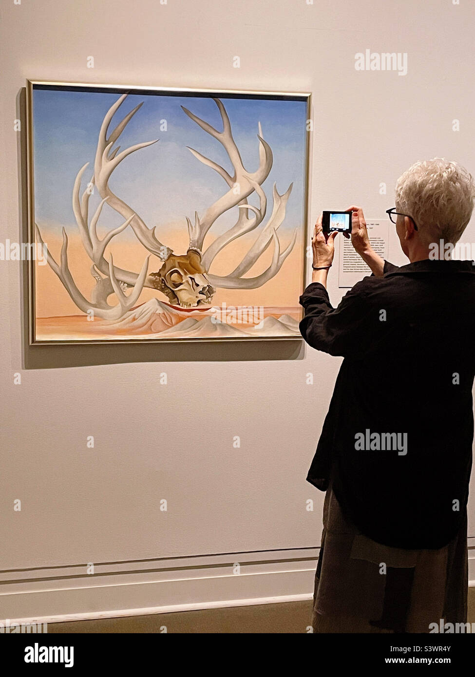 Il Metropolitan Museum of Art ospita un famoso dipinto della Georgia o’Keeffe, lontano dalle vicinanze, e una donna anziana ne scatta una foto, 2022, USA, New York City - Immagine stock catturata con smartphone