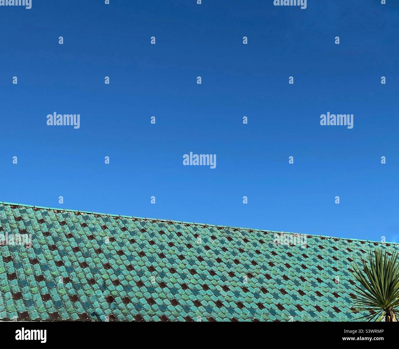 Una fotografia di un tetto di tegole verde turchese smaltato, cielo blu e una palma in un angolo. Vacanze estive casa sentire con spazio copia Foto Stock