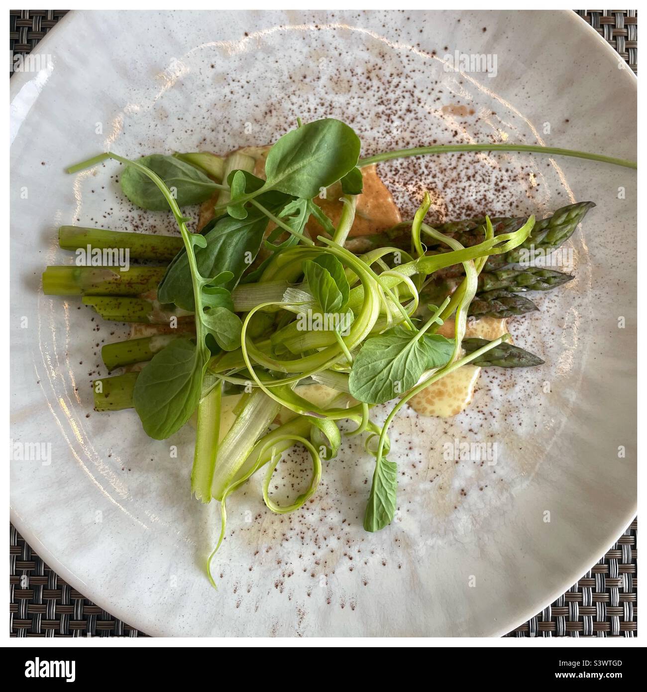 Asparagi guarniti con erbe fresche, cipollotti e foglie di insalata mista su un piatto rotondo Foto Stock