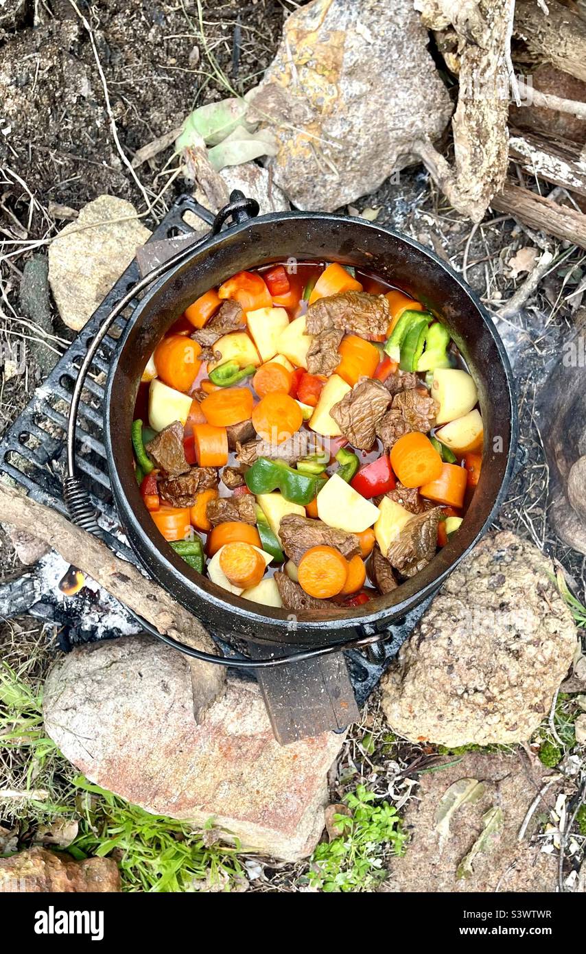 Gulasch di manzo cotto in una pentola di ghisa su un fuoco aperto Foto Stock