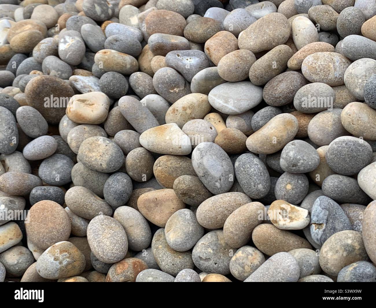 I ciottoli sulla spiaggia Foto Stock