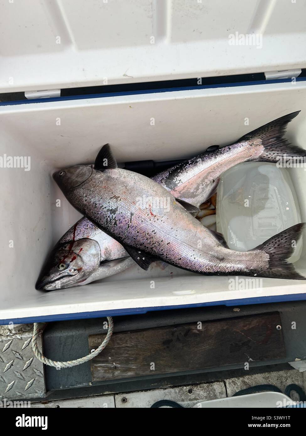 Ho fatto una bella giornata di pesca al buco di pesca Foto Stock