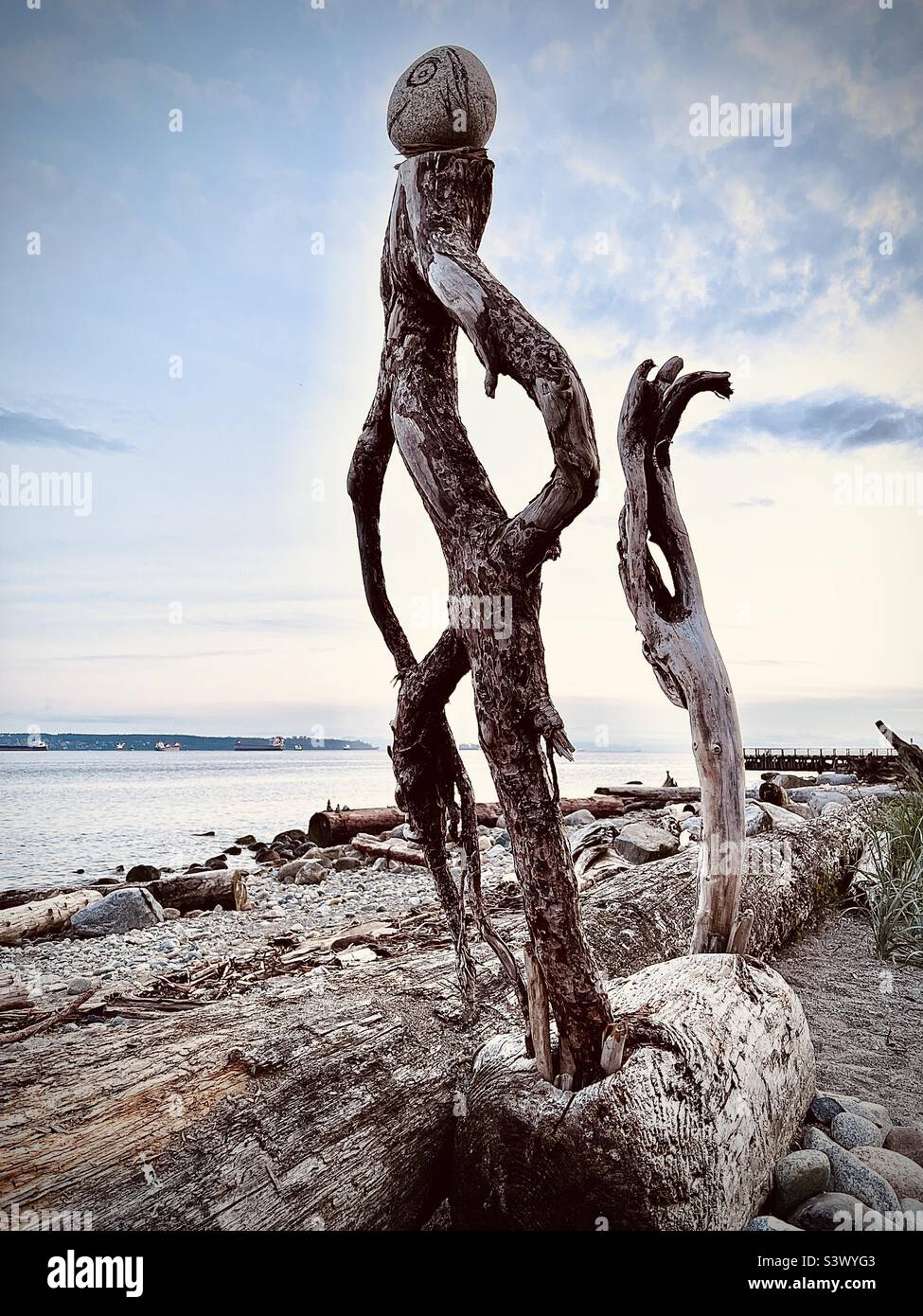 Arte del legno della deriva della riva dell'oceano Foto Stock