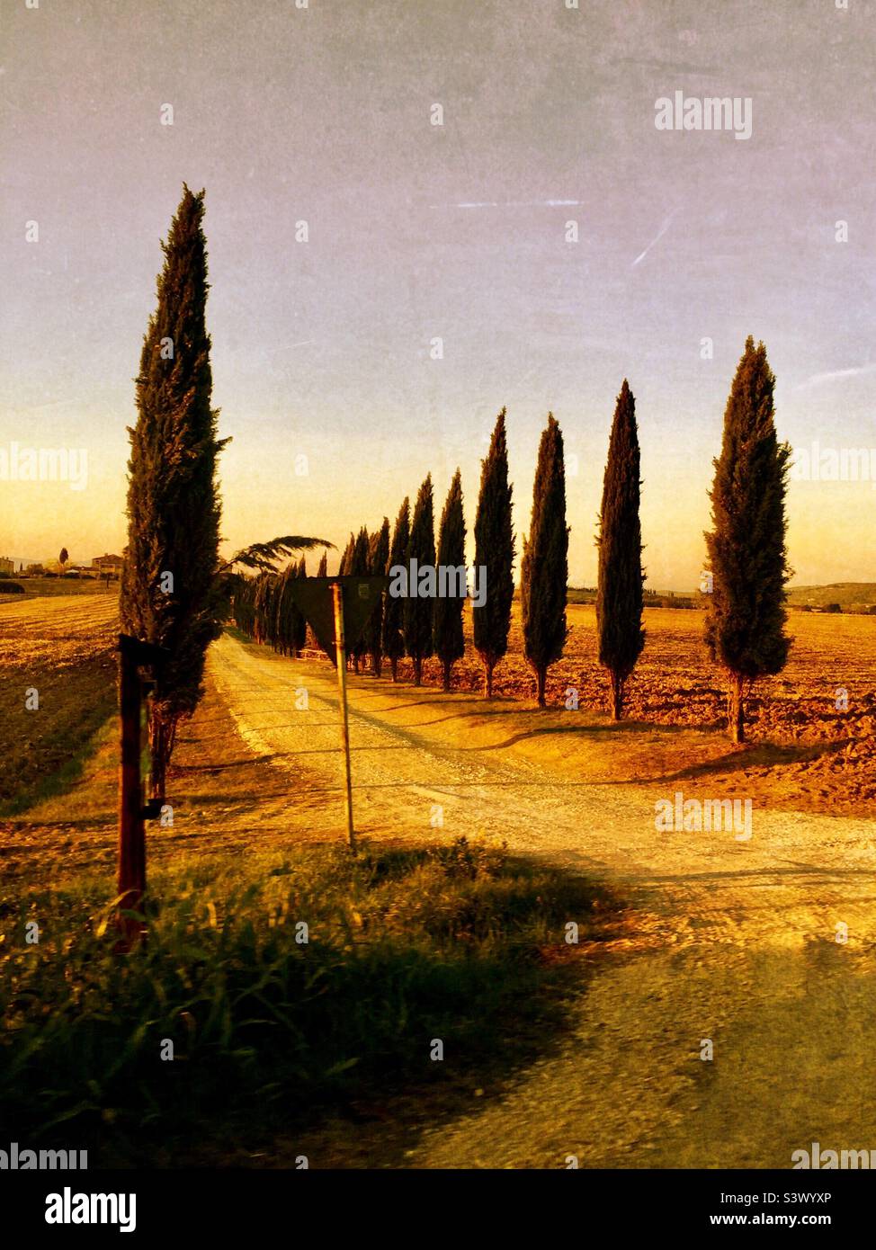 Strada selvaggia con cipressi in Toscana e tramonto Foto Stock