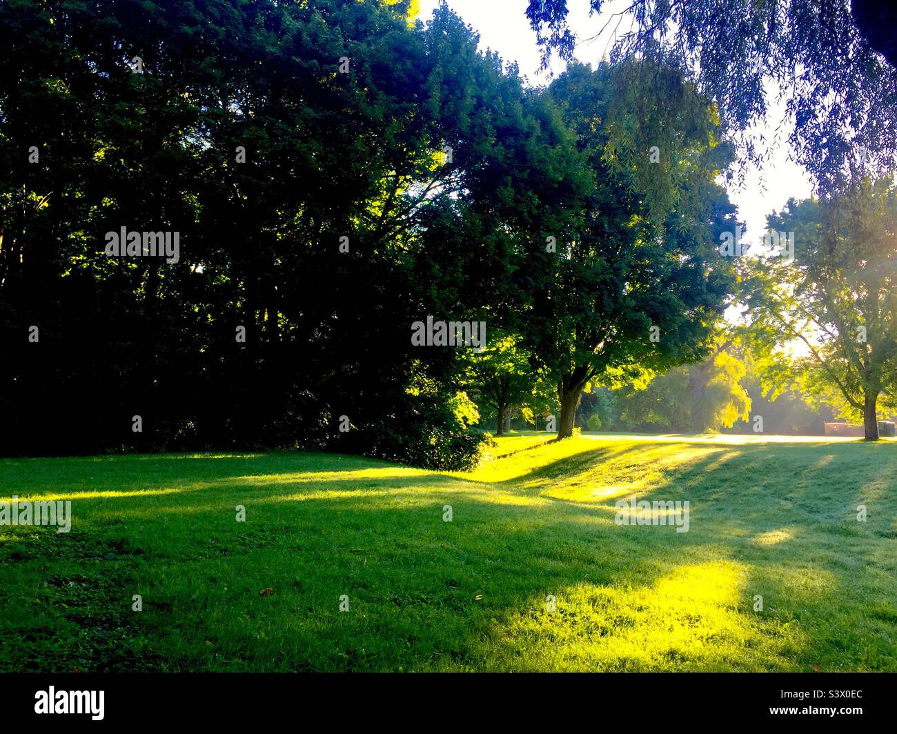 Luce e ombre in un parco urbano. La mattina mostra il giorno. Nessuna gente. Diffusione. Versamento. Esterno. Discendente - Immagine stock catturata con smartphone