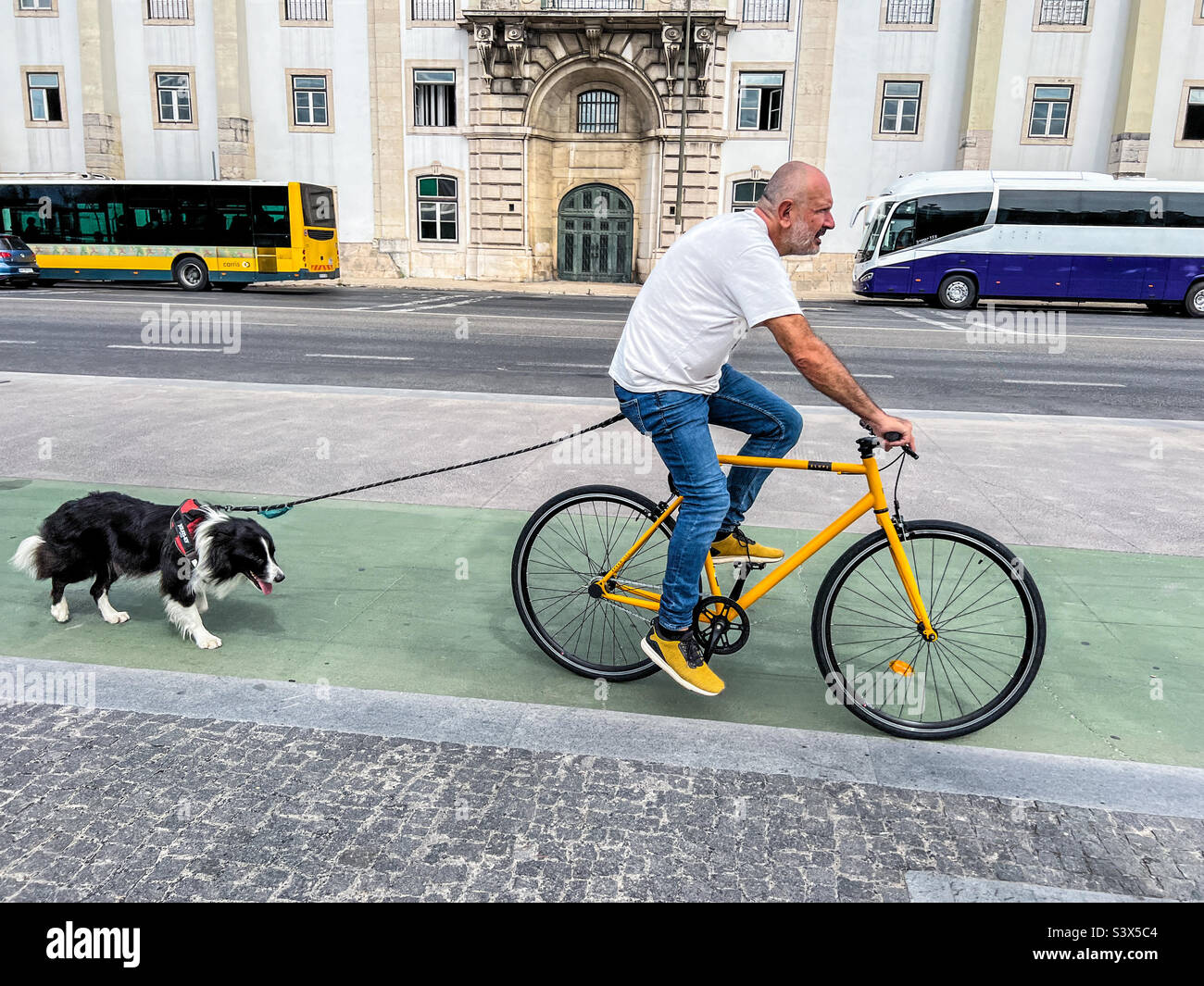 Uomo che cammina il suo cane mentre guida la sua bicicletta Foto Stock