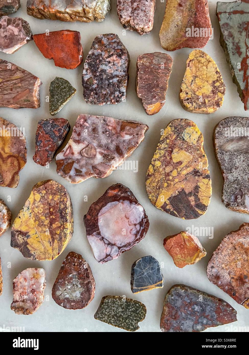 Fette di vari tipi di roccia. Foto Stock
