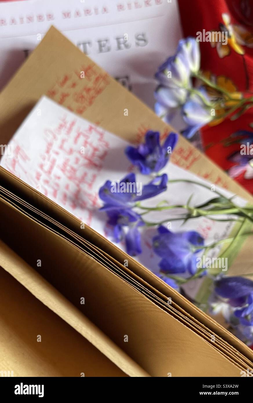 Sfogliando le pagine di un diario con appunti scritti a mano, pensieri e aneddoti sulle esperienze di vita, molto roamanti e poetiche. Foto Stock