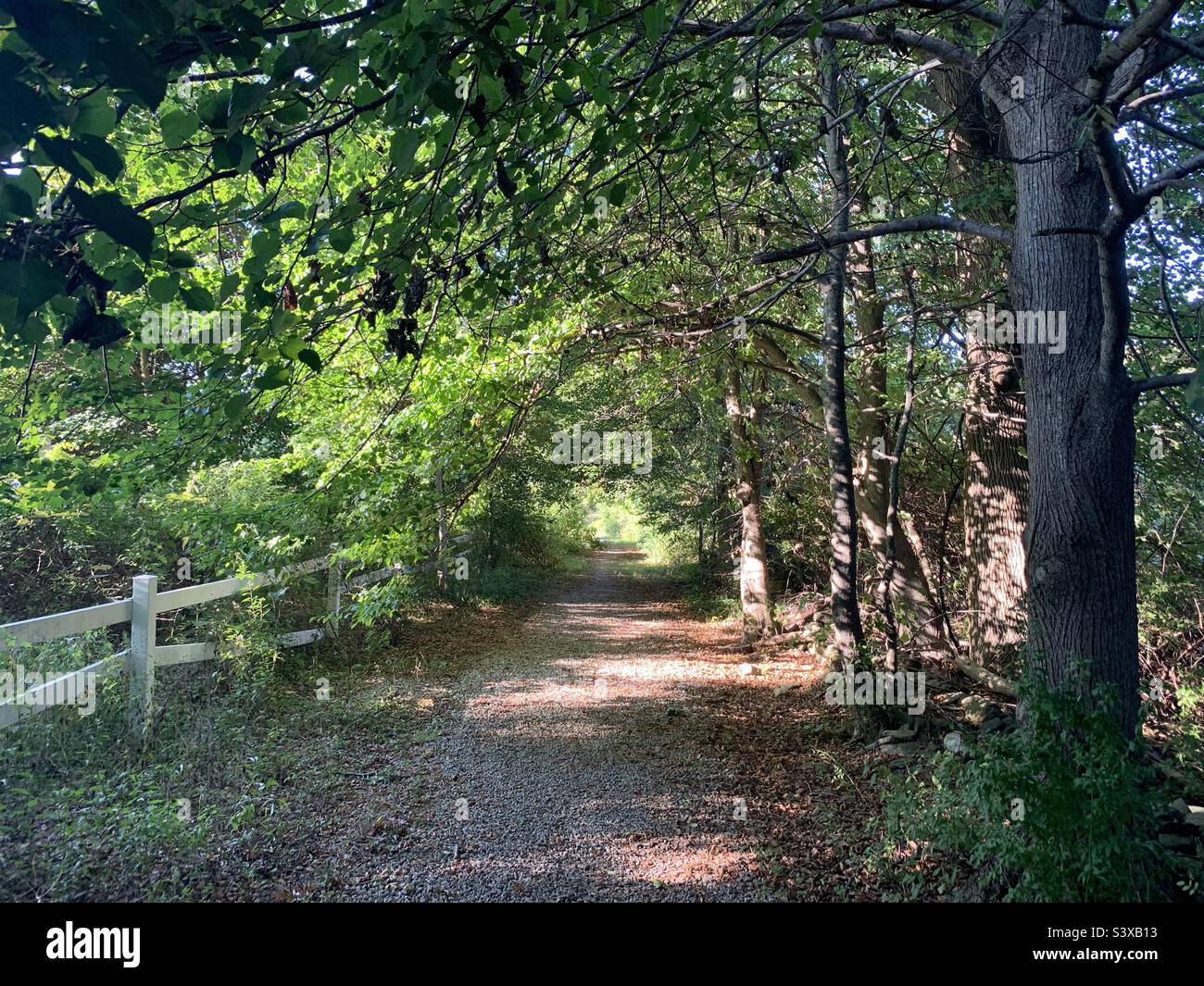 Passeggiate in natura - Immagine stock catturata con smartphone