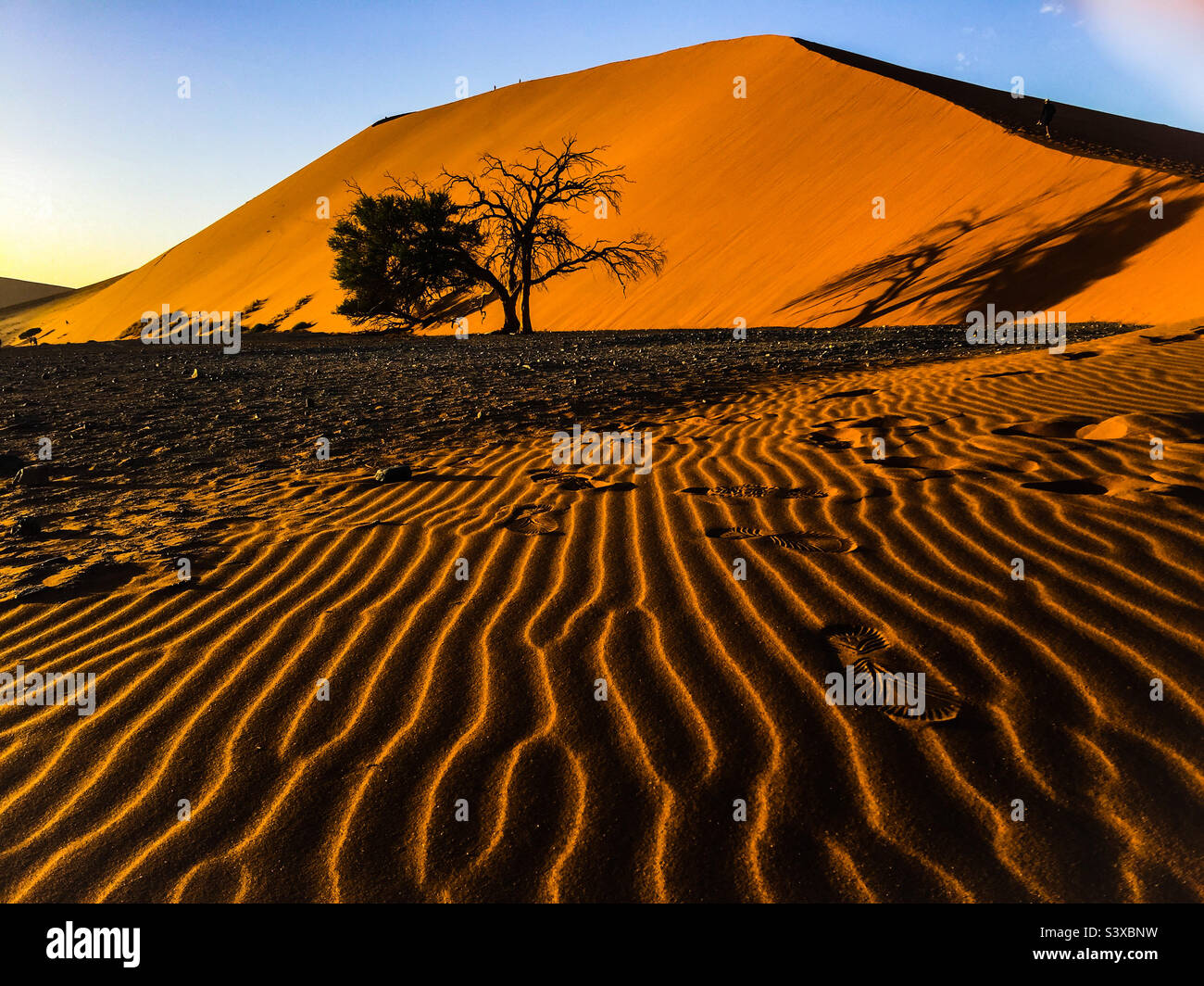 Dune 45 Light Trails Foto Stock