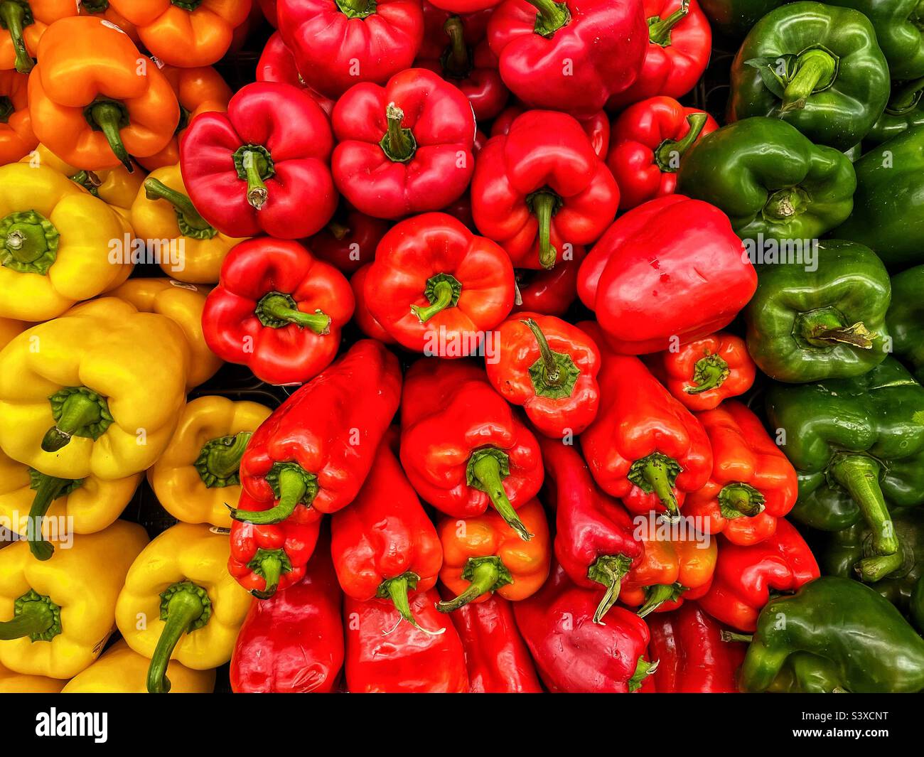 Peperoni rossi, verdi e gialli. Foto Stock