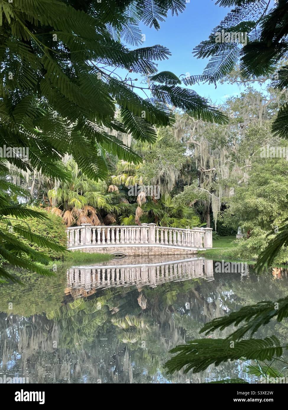 Riflessioni colonne bianche sul ponte giardino nel sud tropicale stagno giardino con palme, muschio sospeso, cornice fronds verdi. Foto Stock