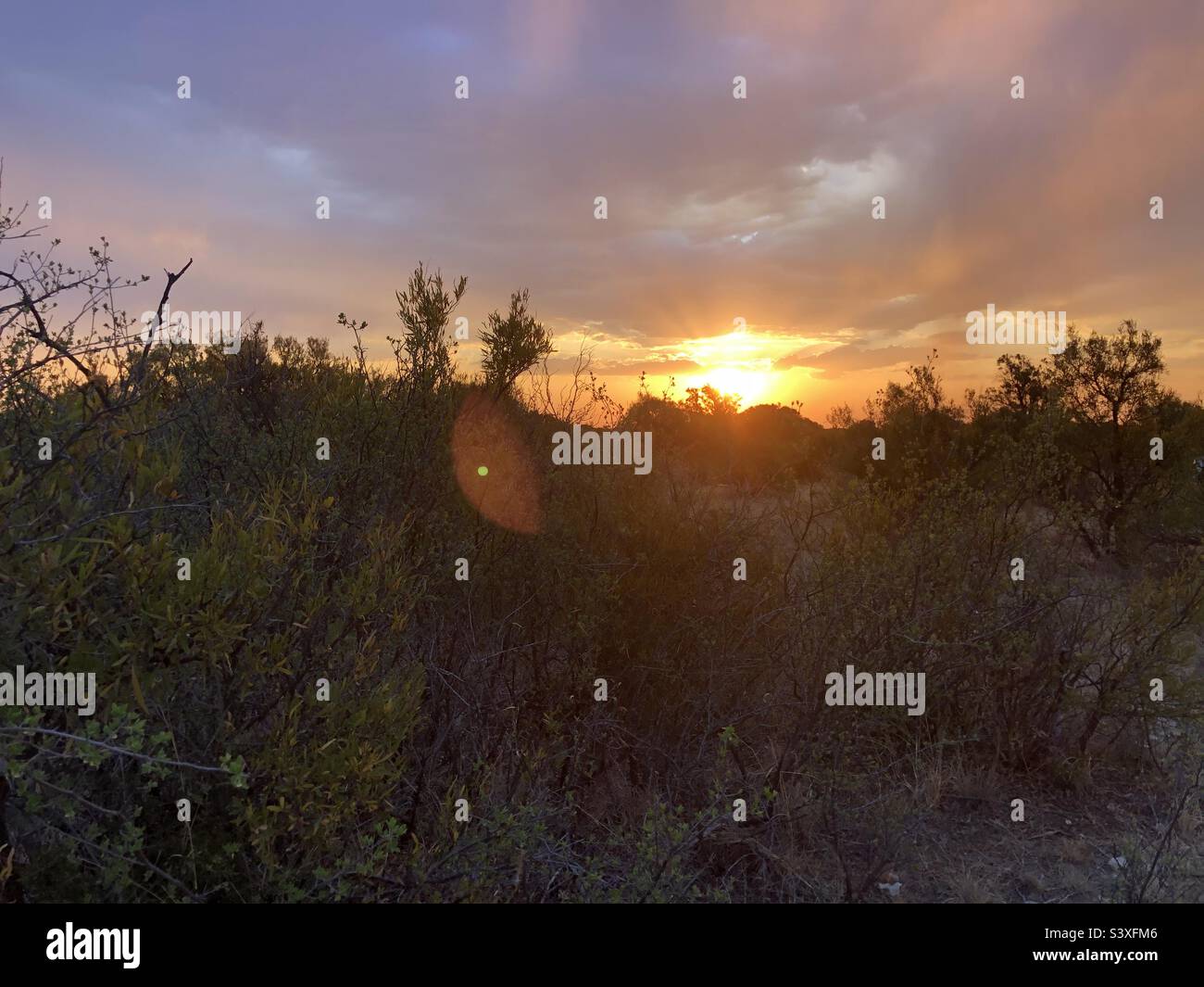 E mentre il sole tramonta, stiamo ancora guardando. Nel caso in cui le fiamme ritornino. Foto Stock