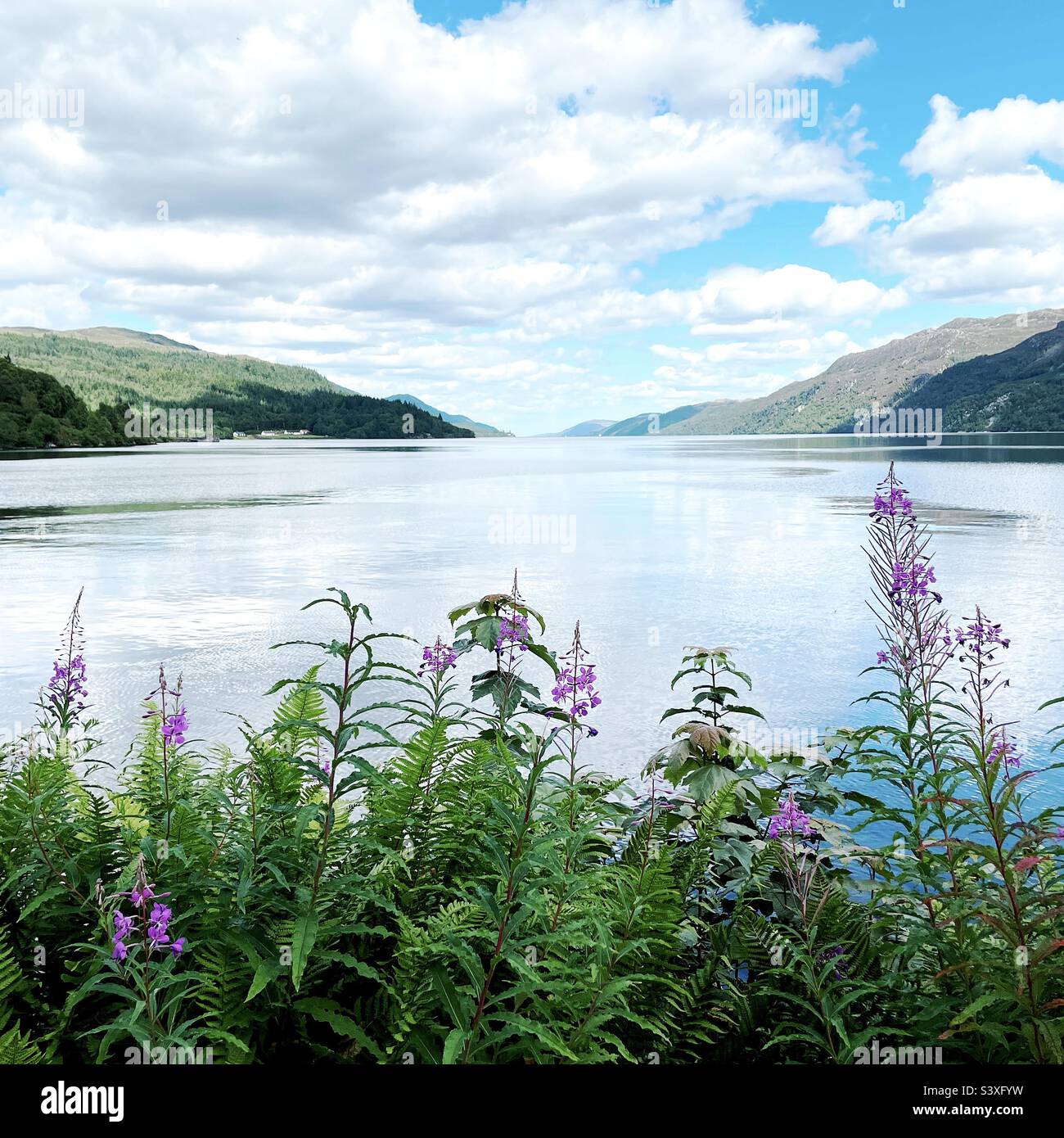 Loch Ness a Fort Augustus, Scozia Foto Stock