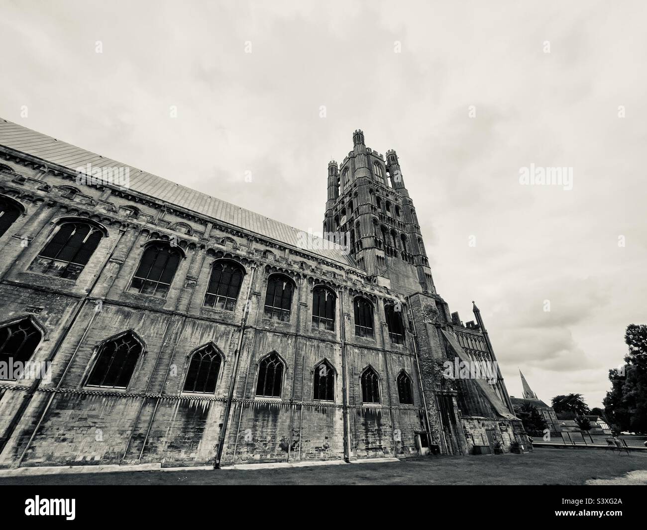 Cattedrale di Ely Foto Stock
