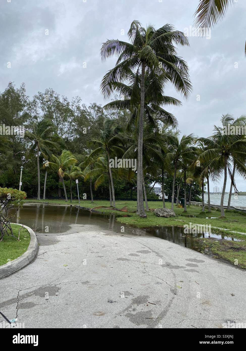 Conseguenze dell'uragano Ian che crea raffiche di vento e sbalzi di tempesta nella contea di Miami-dade. Foto: Parco di Morningside Foto Stock